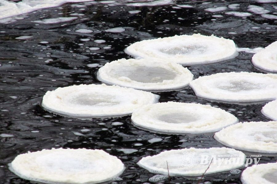 Удивительное природное явление в Великих Луках (ФОТО)