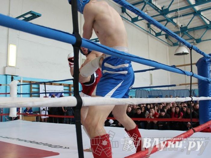Чемпионат Псковской области по ММА