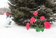 Фотофакт: на набережной Великих Лук распустились цветы