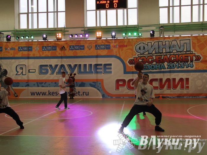 Чемпионат ШБЛ «КЭС-БАСКЕТ» сезона 2013-2014 гг. Псковской области