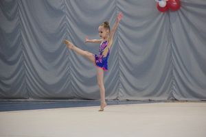 ​В Великих Луках прошли соревнования по художественной гимнастике (ФОТО)