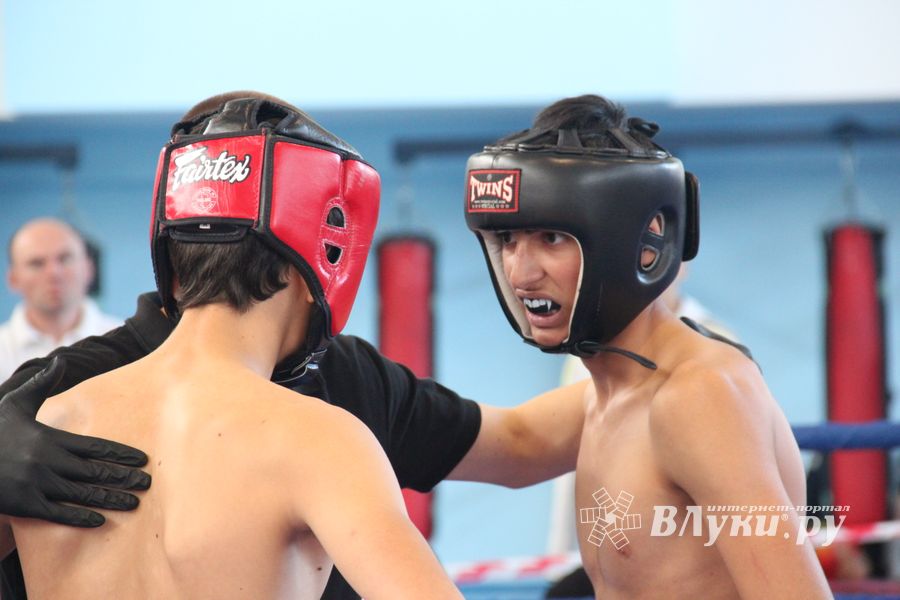 Первенство России по смешанному боевому единоборству ММА пройдет в Великих Луках