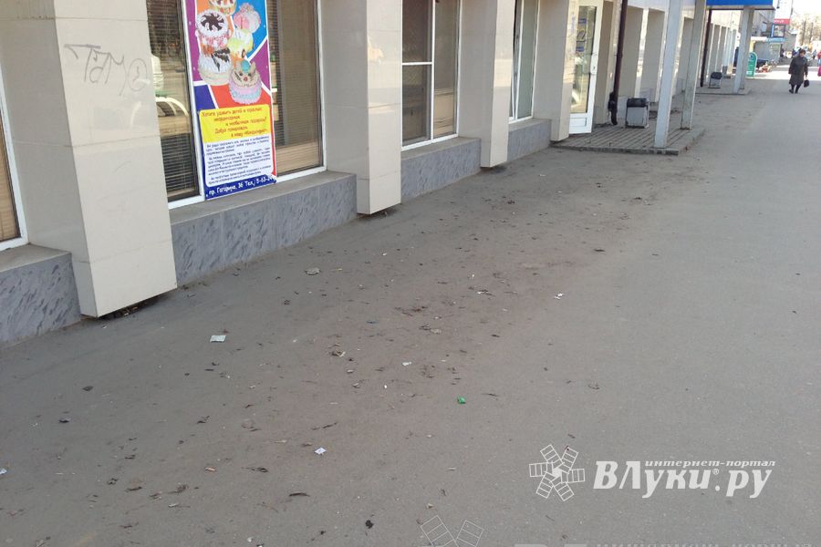 Весне дорогу!