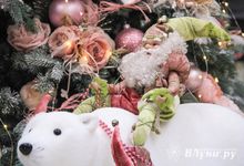 Студия красоты «Ola-la» первой в городе предложила поход в сказку (ФОТО, ВИДЕО)