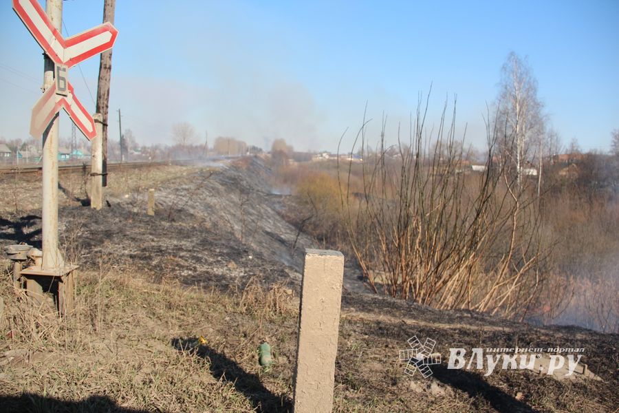 Великолукский район полыхает (ФОТО; ВИДЕО)