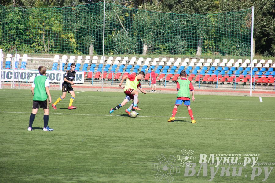 В Великих Луках завершился открытый турнир по футболу памяти М. Ф. Хренова (фото)