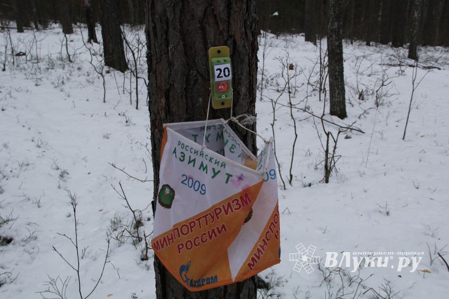 В Великолукском районе прошли соревнования по спортивному ориентированию на лыжах (фото)