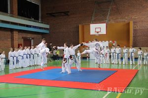 В Великих Луках прошло Первенство по тхэквондо (фото)