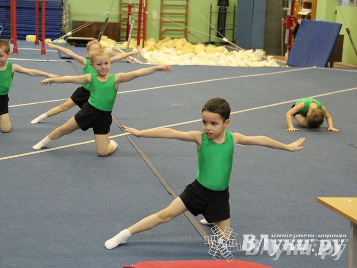 В Великих Луках состоялось Первенство по командной гимнастике (фото)