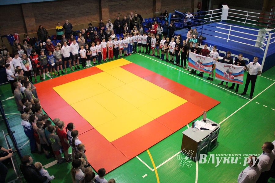 В Великих Луках прошли соревнования по кикбоксингу (ФОТО)