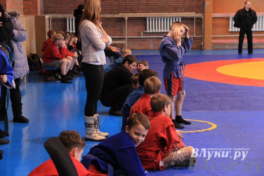 Состоялось Открытое первенство города Великие Луки по борьбе самбо