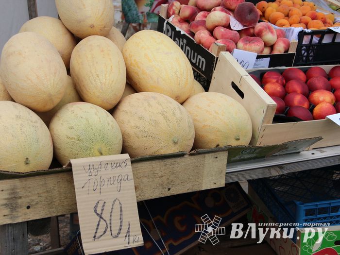 В Великих Луках проверили бахчевые (ФОТО)