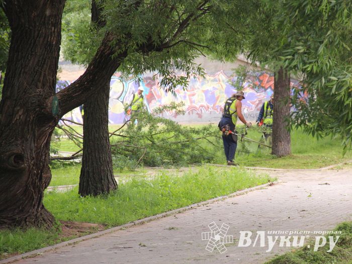 В Великих Луках сажают, стригут и красят (ФОТО)