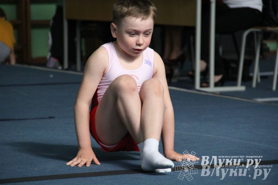 В Великих Луках состоялось Первенство по командной гимнастике (фото)