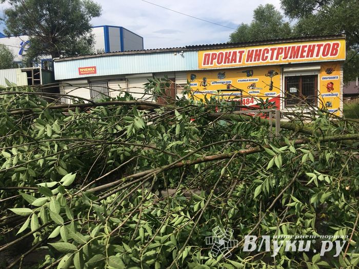 Гроза в Великих Луках не прошла бесследно (ФОТО)