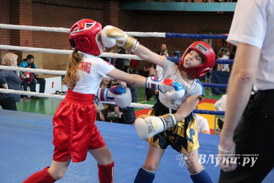 В Великих Луках прошли соревнования по кикбоксингу (ФОТО)