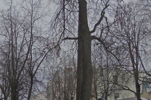 Город готовится к Новому году