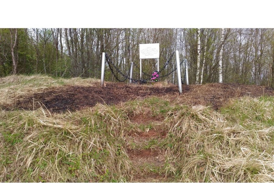 Приводили в порядок памятник — едва не сожгли дом, жалуется жительница Великолукского района (ФОТО)