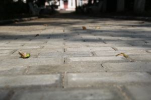 В Железнодорожной больнице проводится ремонт (ФОТО)