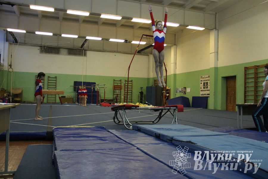 В Великих Луках состоялось Первенство по командной гимнастике (фото)