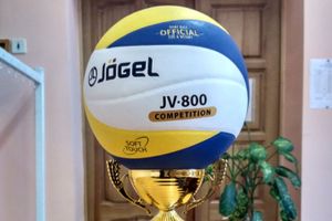 В Великих Луках прошел турнир по волейболу среди подростков и сотрудников органов власти (ФОТО)