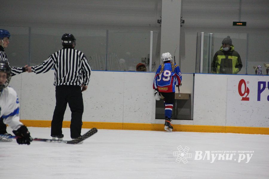 В Великих Луках прошел детский Открытый турнир по хоккею (ФОТО)