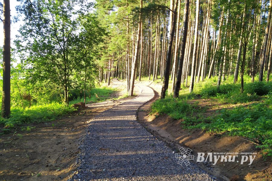В «Парке без границ» появляются беседки (ФОТО)