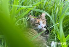 Прогноз погоды на 18 сентября в Великих Луках