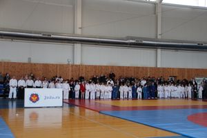 Фестиваль боевых искусств прошел в Великих Луках (ФОТО)