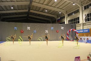 В Великих Луках прошли соревнования на Кубок Псковской области по художественной гимнастике (ФОТО)