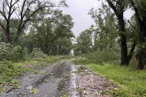 Весь ужас вчерашнего урагана в Великих Луках и районе (ФОТО, ВИДЕО)
