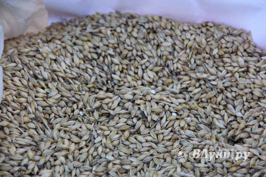 В Великих Луках прошла универсальная осенняя ярмарка (ФОТО)