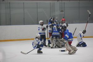 В Великих Луках прошел детский Открытый турнир по хоккею (ФОТО)