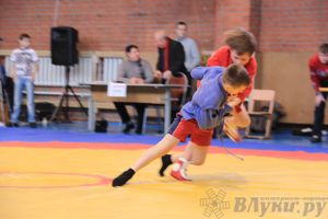 Состоялось Открытое первенство города Великие Луки по борьбе самбо