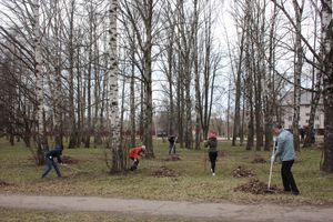 Городские СМИ провели субботник (ФОТО)