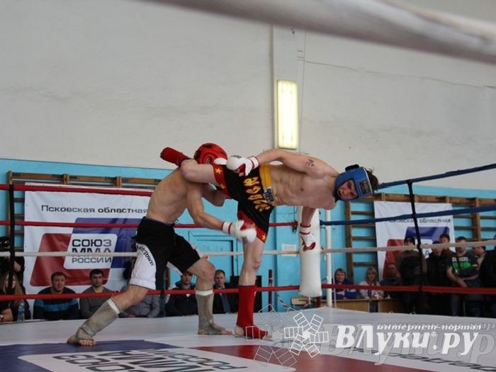 Чемпионат Псковской области по ММА
