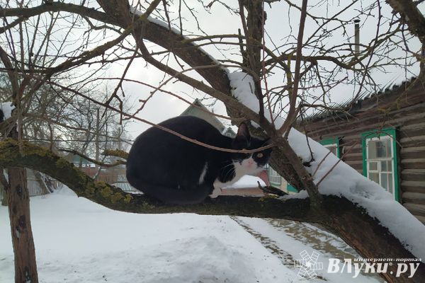 Погода недели: намёк на весну