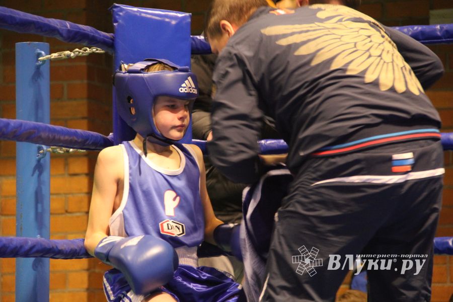 В Великих Луках проходят соревнования по боксу памяти Е.А. Клевцова (фоторепортаж)