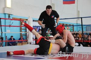 Чемпионат Псковской области по ММА