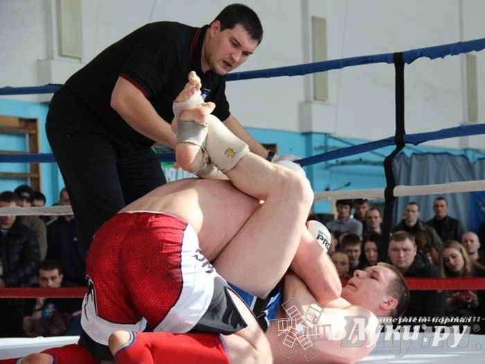 Чемпионат Псковской области по ММА