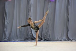 ​В Великих Луках проходит Открытое Первенство по художественной гимнастике (ФОТО) (0+)