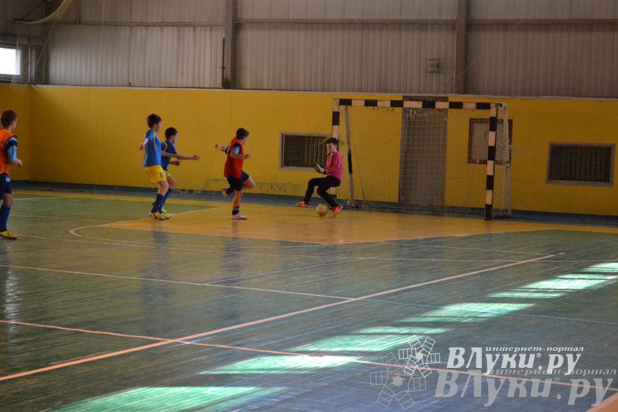 XII Традиционный Международный открытый турнир по мини-футболу среди юношей 2001-2002 г. р.