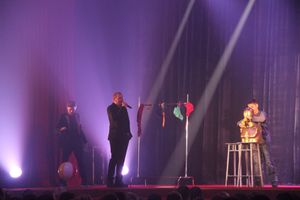 Состоялся концерт братьев Сафроновых «Империя иллюзий» (фото)