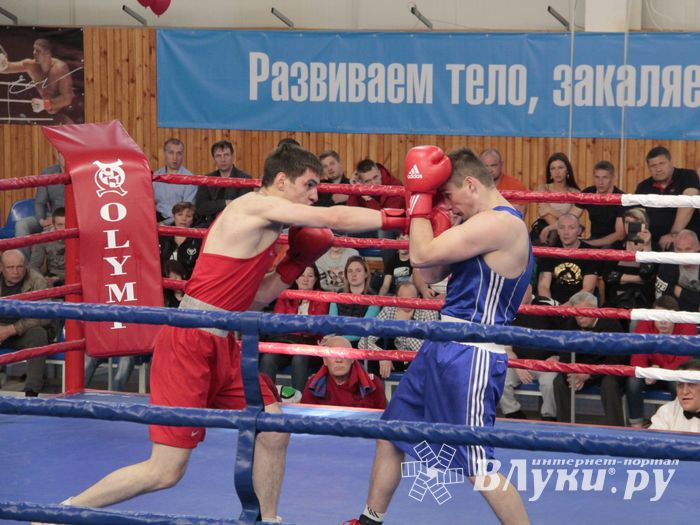 Матчевая встреча по боксу Великие Луки —Псков — Грозный (ФОТО)