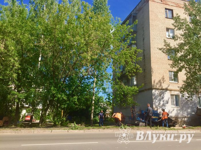 Вниманию пешеходов