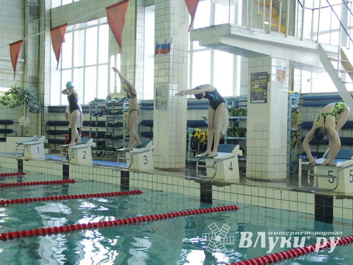 В Великих Луках прошел Чемпионат и Кубок города по плаванию (фото)