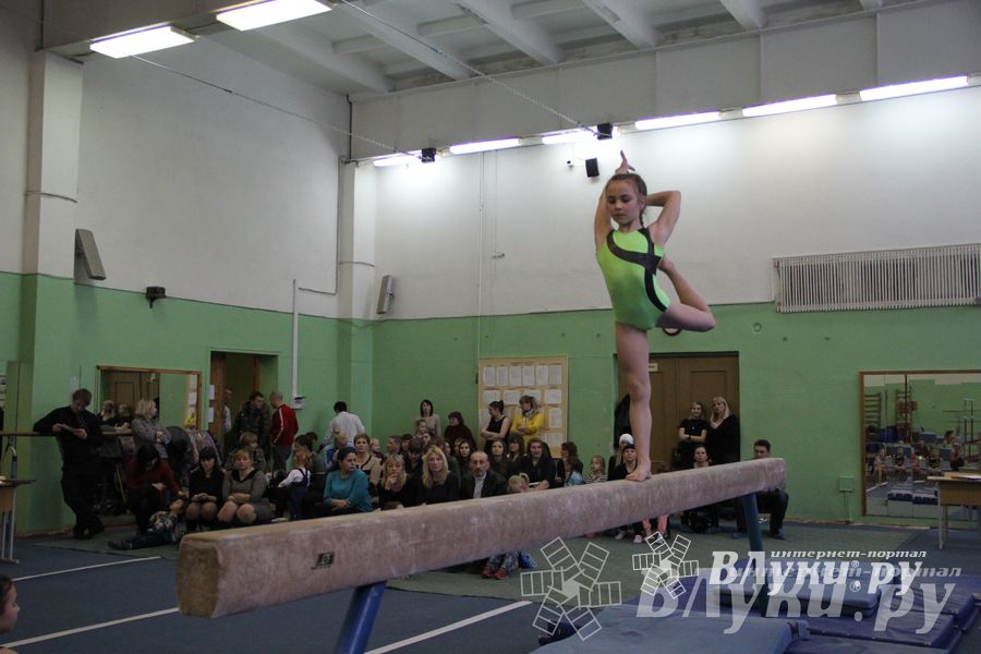 В Великих Луках прошло Первенство Области по спортивной гимнастики (фото)
