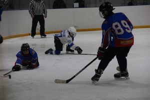 В Великих Луках прошел детский Открытый турнир по хоккею (ФОТО)