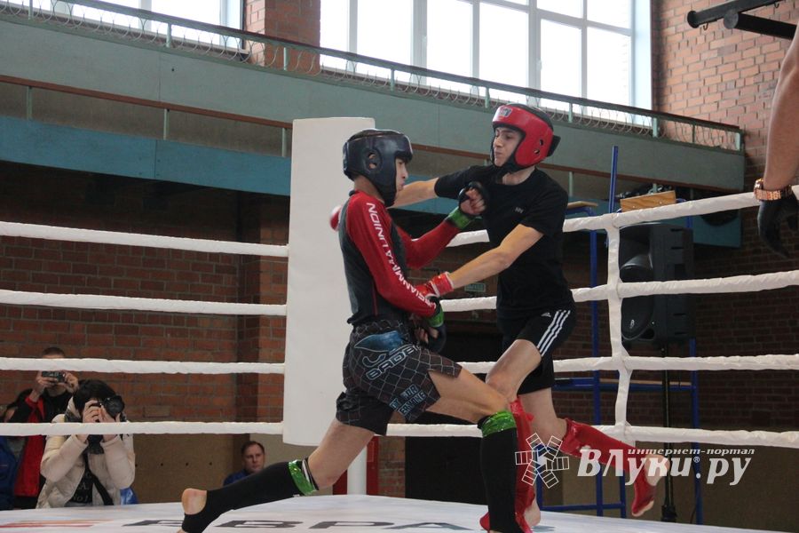 В Великих Луках прошел международный открытый Кубок по смешанному боевому единоборству (ФОТО) (16+)