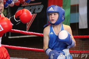 3-й день соревнований Международного турнира по боксу